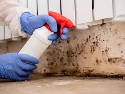 Mold Remediation for Rental Properties in Greenup, KY